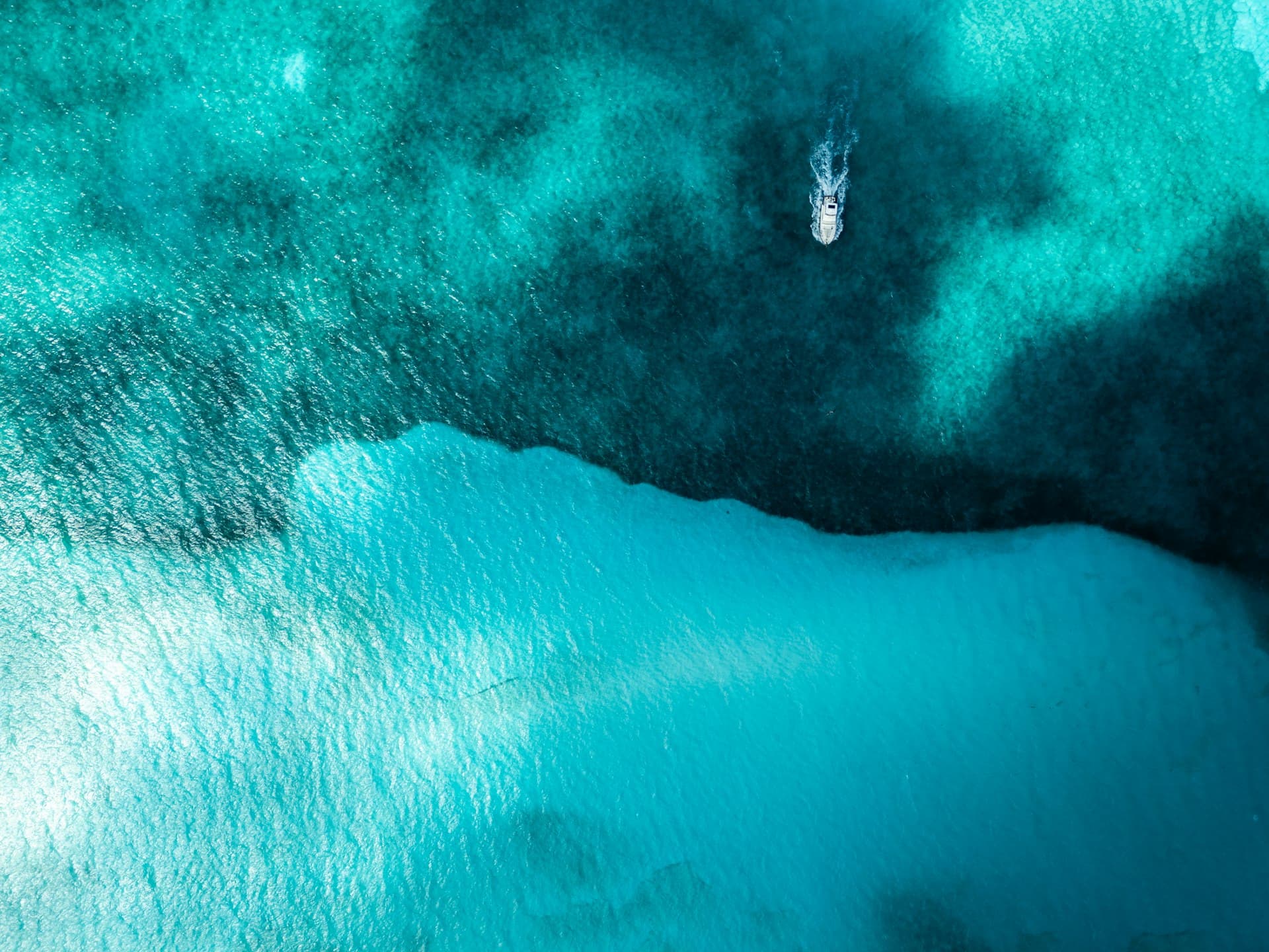 The Complete Guide to Diving in Cozumel (2026)